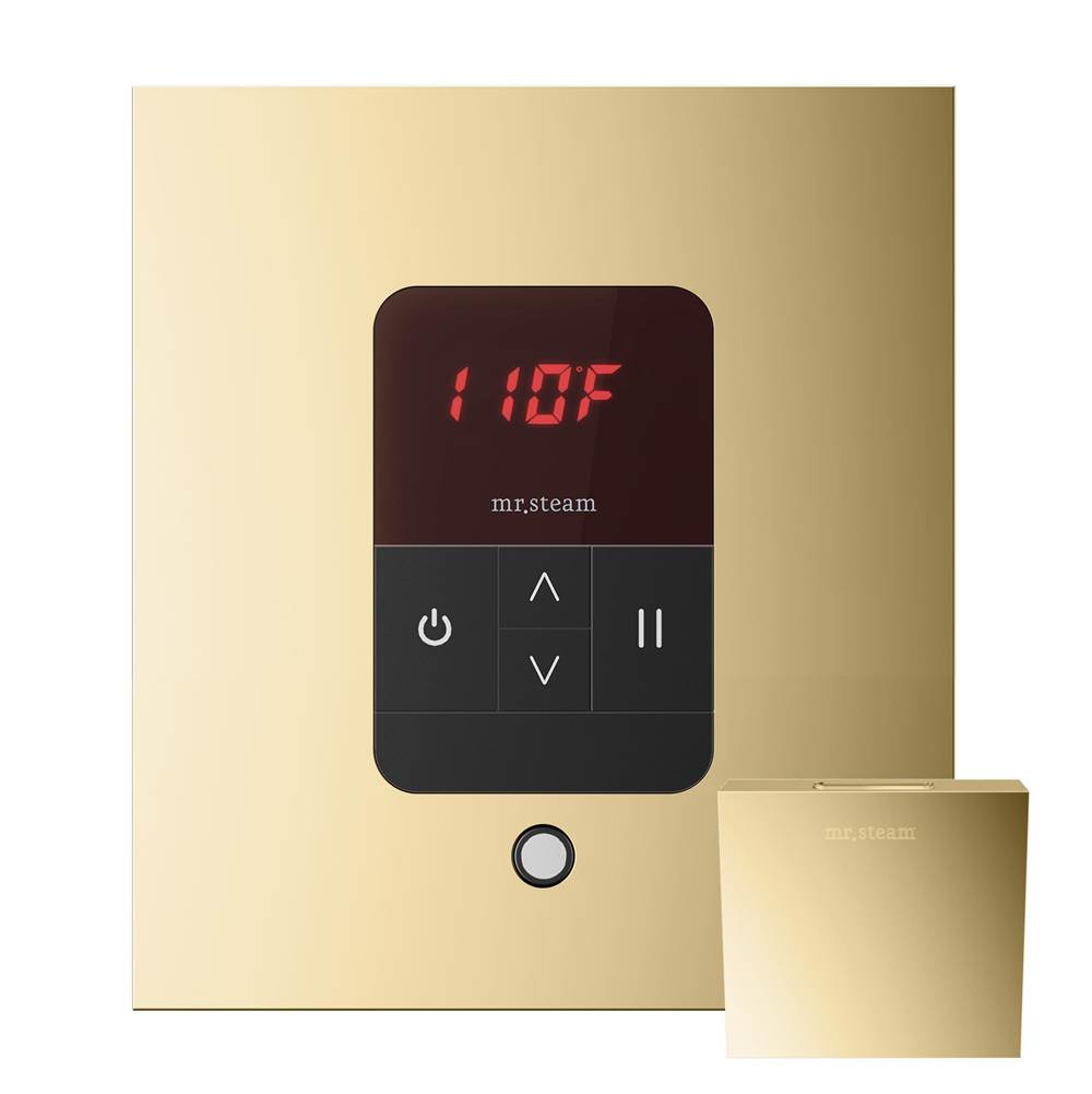 Mr. Steam iTempo Steam Shower Control and Aroma Designer SteamHead in Square Polished Brass